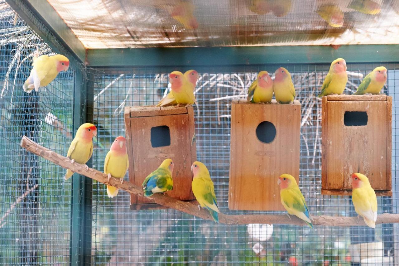 Dar Ayniwen Garden Hotel & Bird Zoo Маракеш Екстериор снимка